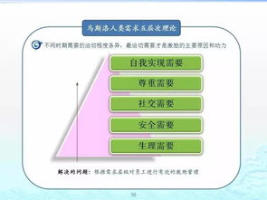 企业管理百套实用工具理论 打造高效组织的核心指南