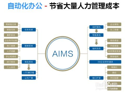 企业管理成功宝典 打造高效组织的核心法则