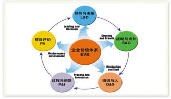 企业管理专业的深层探索 从职能细分到综合视野